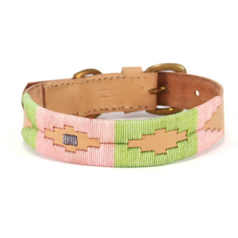 Georgie Paws Polo Collar Toby