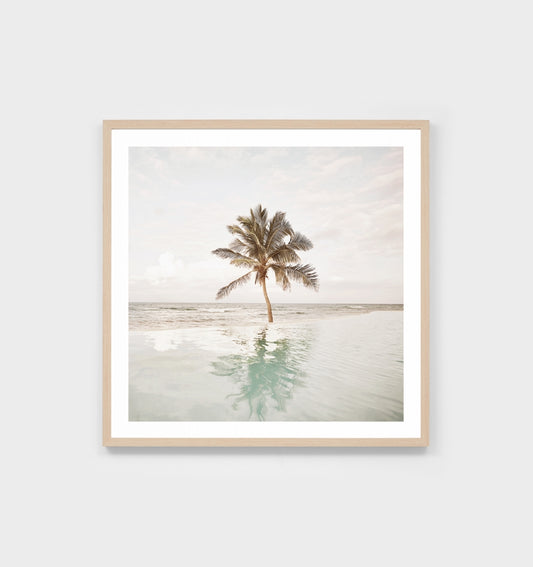 Framed Print Poolside Palm