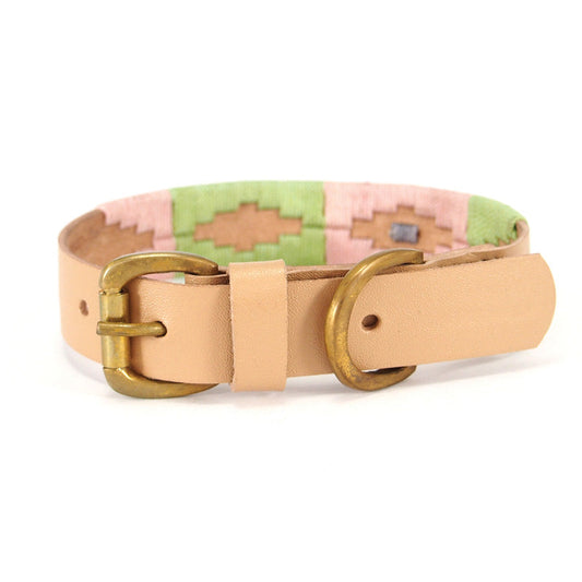 Georgie Paws Polo Collar Toby