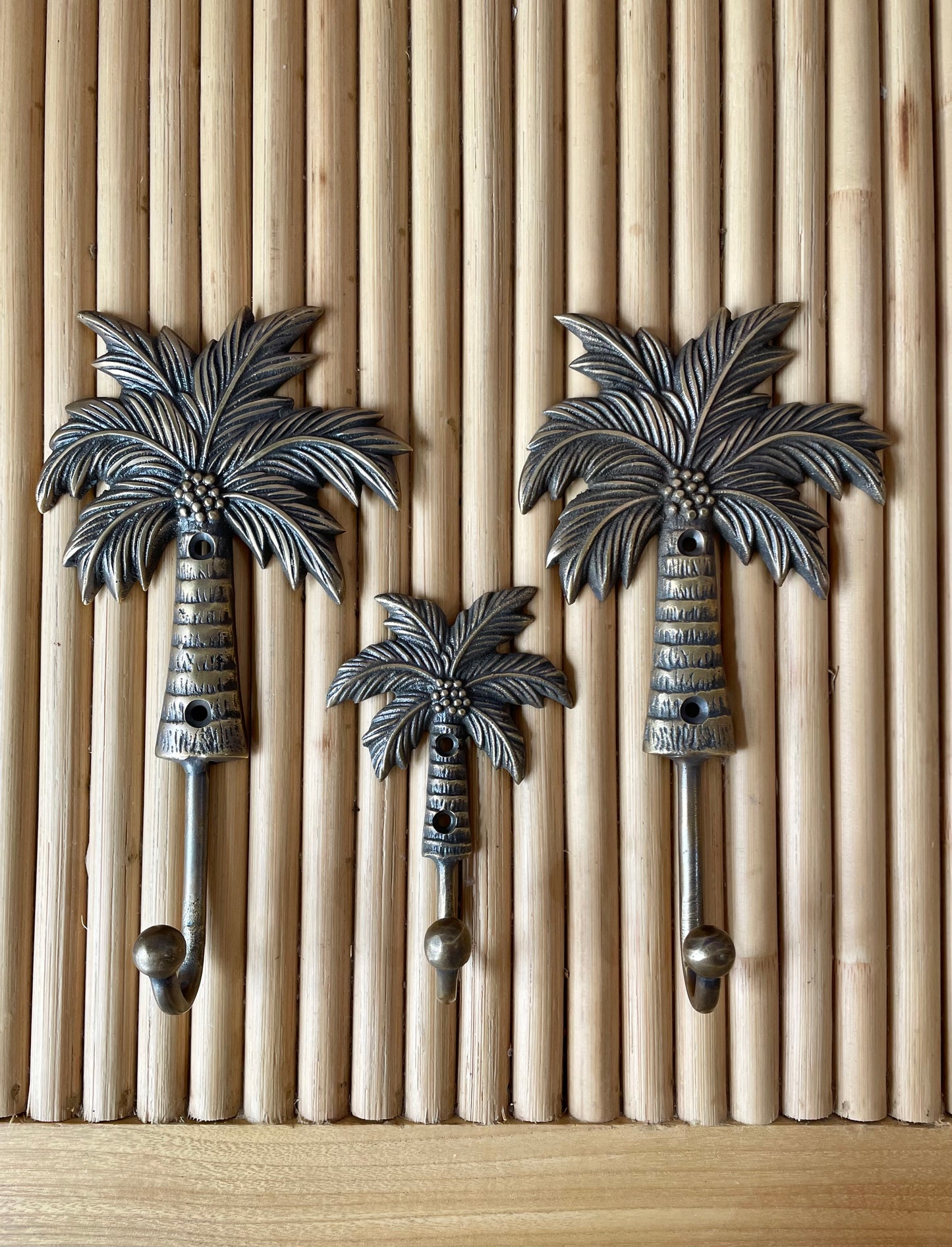 Palm Hook Coconut Palm