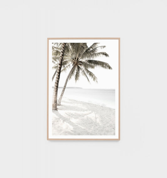 Framed Print Peaceful Palms
